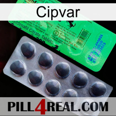 Cipvar new04